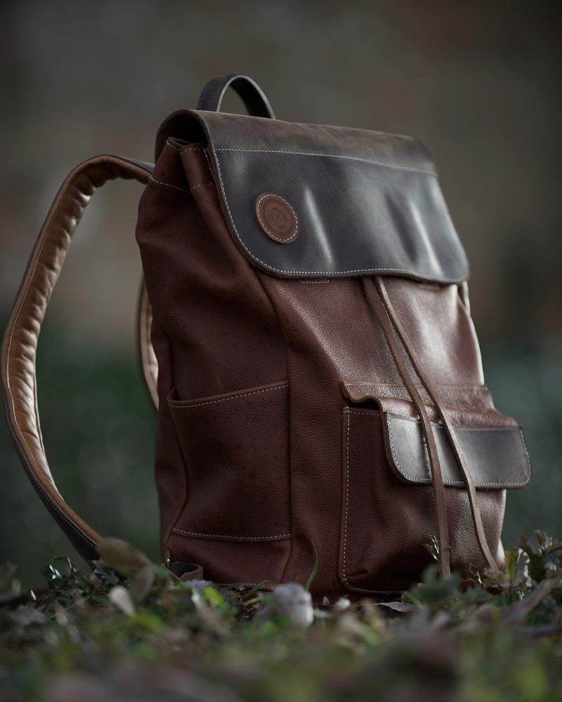 Fringilla Phasellus Faucus Scelerisque Eleifend Donec